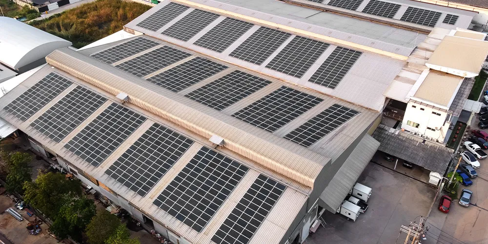 Agro And Food Processing